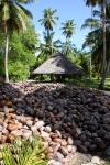 Coconut house.jpg